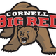 Image for article titled Cornell Drains Fun Out Of Cinderella Run By Explaining How On A Long Enough Timeline The Improbable Becomes Probable